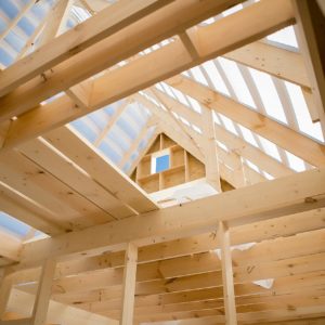 Aprende Diseño Estructural en Madera